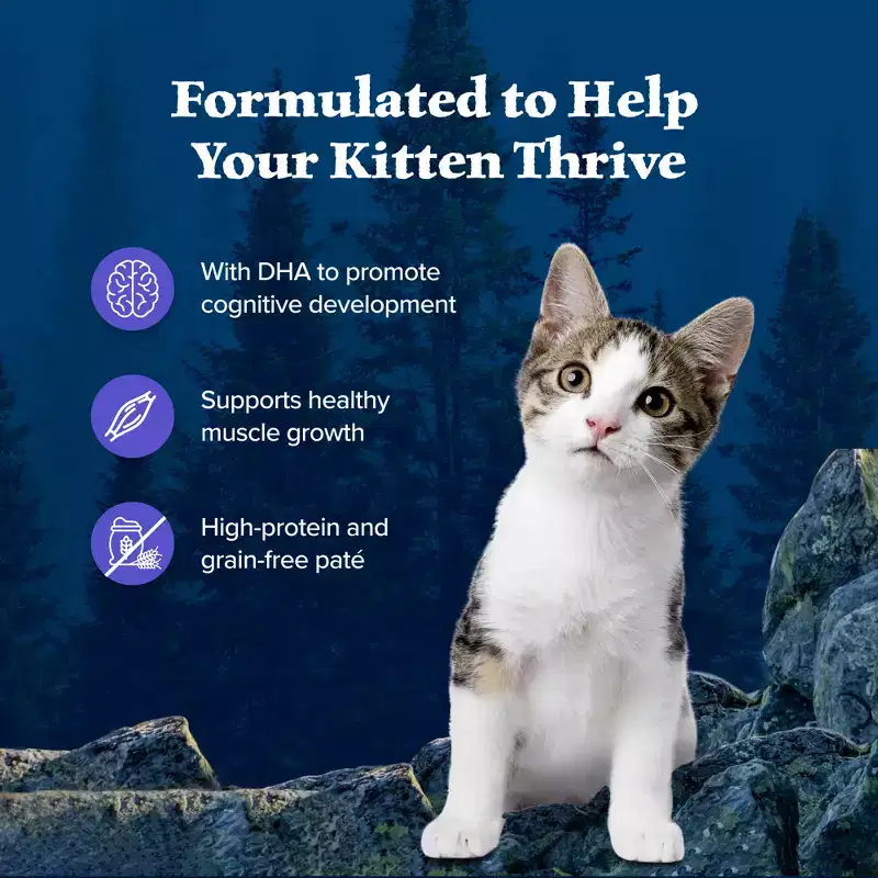 Blue Buffalo Wilderness High Protein Grain-Free Natural Kitten Pate Wet Cat Food Variety Pack with Chicken & Salmon - 3oz/6ct