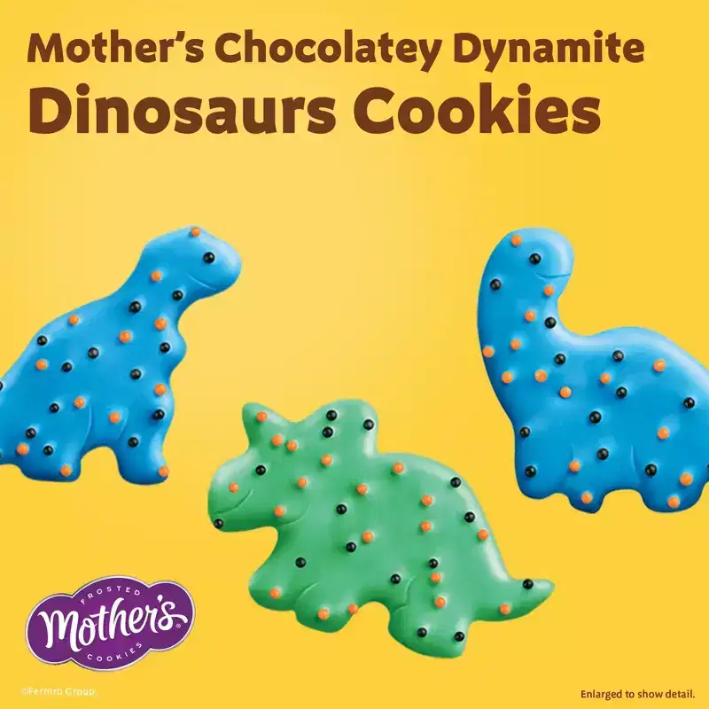 Mother's Cookies Variety Pack - 20oz/20ct