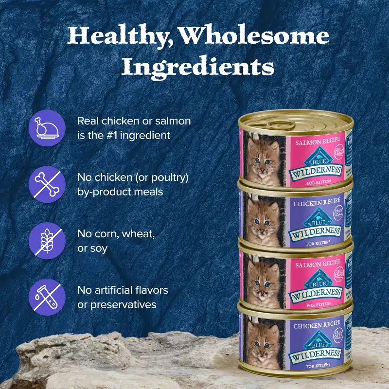 Blue Buffalo Wilderness High Protein Grain-Free Natural Kitten Pate Wet Cat Food Variety Pack with Chicken & Salmon - 3oz/6ct