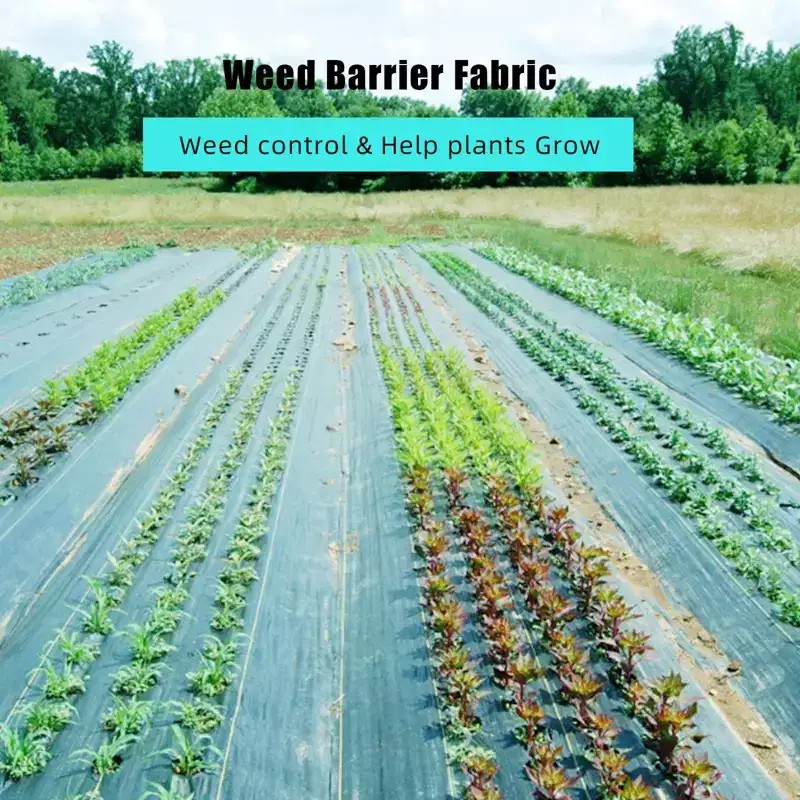 6.5Ft x 300Ft Heavy Duty Weed Barrier Fabric, 3 Oz Professional Grade Landscape Fabric, Weed Block Gardening Mat for Plant Bed, Erosion Control