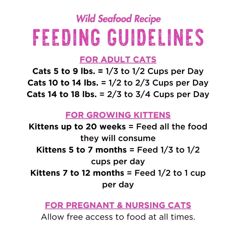 Boat To Bowl Fish, Salmon and Wild Seafood Flavor Recipe Dry Cat Food - 3.5lbs