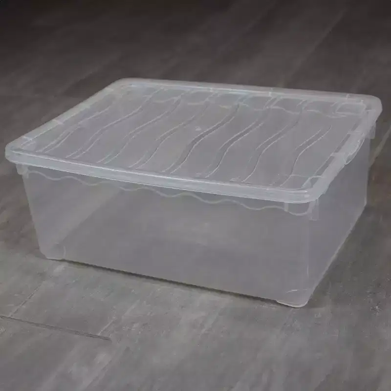 Basicwise Clear Shoe Storage Boxes with Lids - Stackable Plastic Organizer Bin for Closet, Sneaker Storage, Accessories - Shatterproof, Secure-Fit
