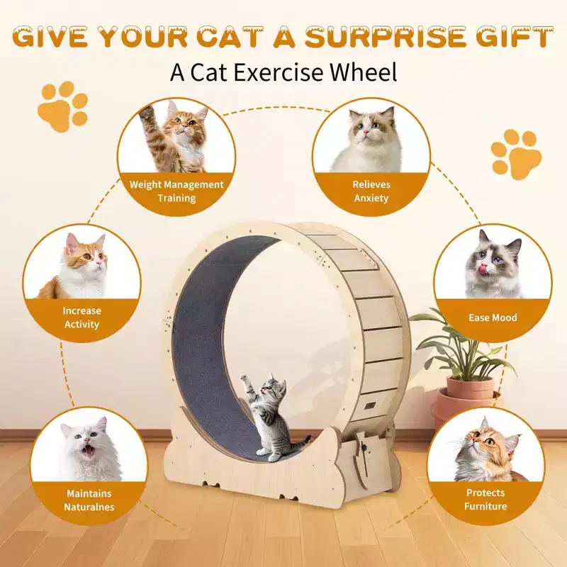 35.4 Inch Cat Exercise Wheel for Indoor Cats, Large Cat Treadmill Wheel with Detachable Carpeted Runway, Versatile Cat Toy Running Wheel Treadmill