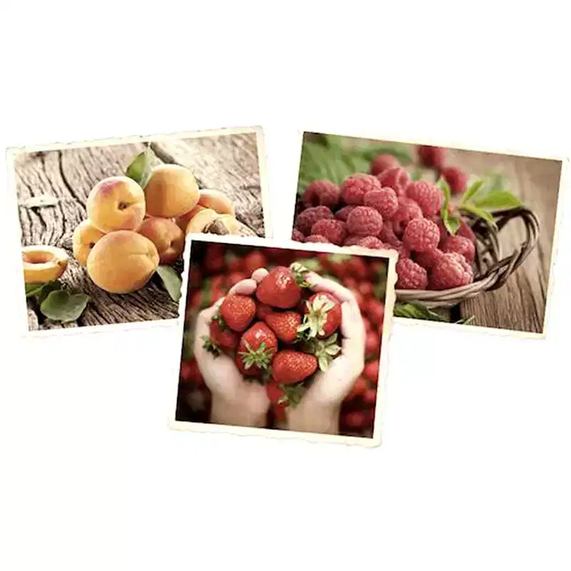 D'Arbo Trio Set All Natural Fruit Spreads - Apricot, Raspberry, and Strawberry - with Gold Stainless Steel Spreader Spoon (4-Pc Set)