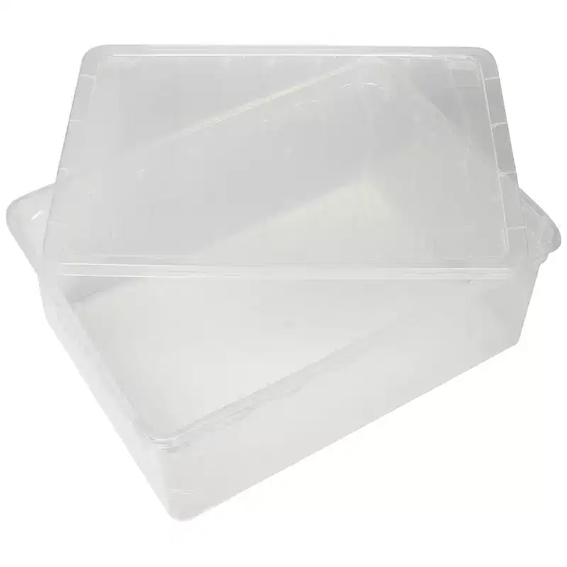 Basicwise Clear Shoe Storage Boxes with Lids - Stackable Plastic Organizer Bin for Closet, Sneaker Storage, Accessories - Shatterproof, Secure-Fit