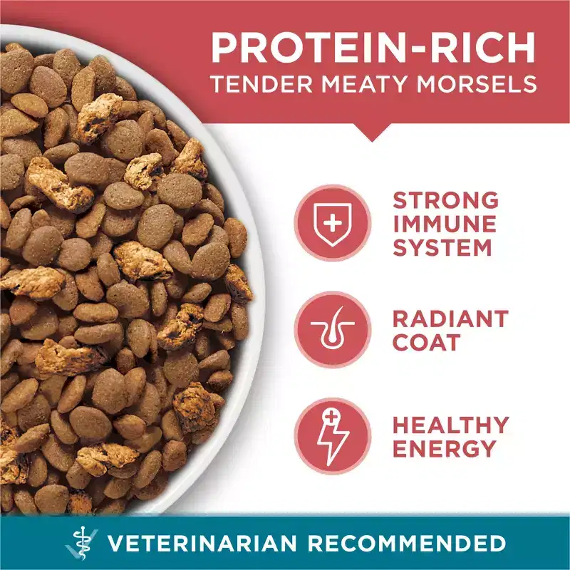 Purina ONE Tender Selects Blend Natural Real Salmon & Fish Flavor Dry Cat Food